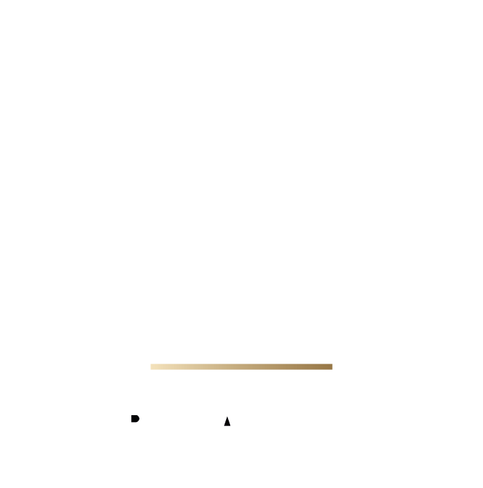 LMN Creative Intelligence